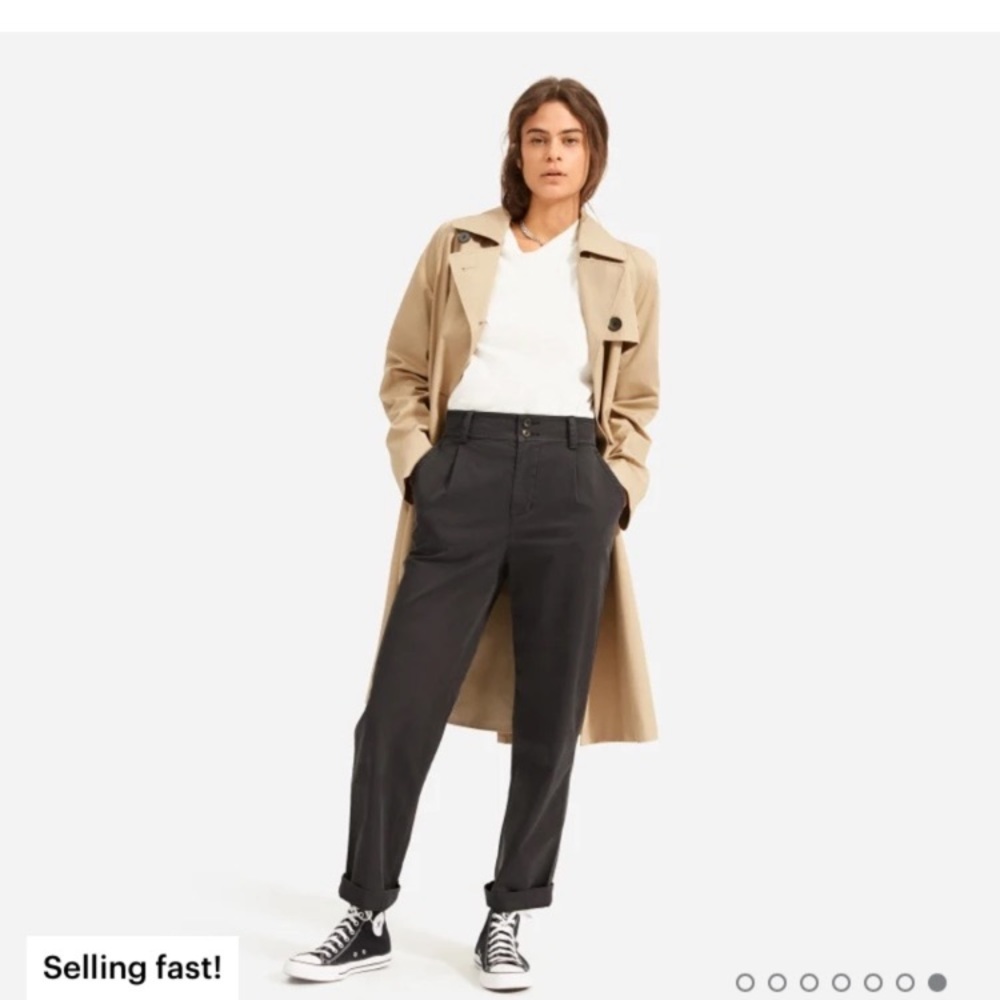 Everlane Pleated Chino